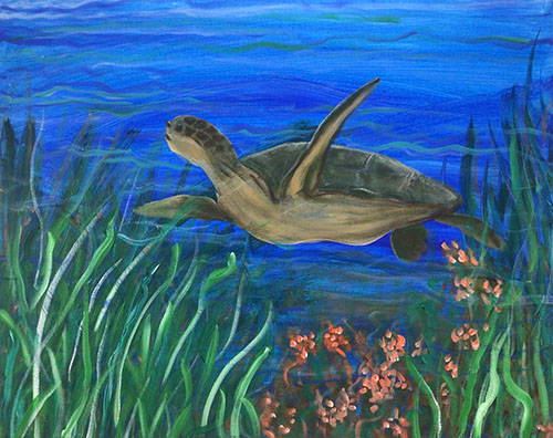 Sea turtle 2021